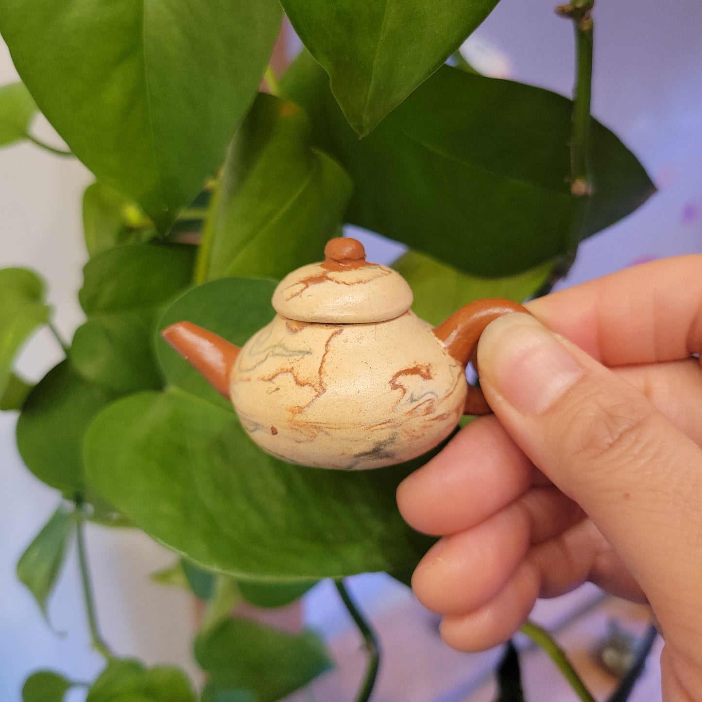 Founder's Collection: Tea Pets